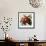 Tuscan Sun Pomegranate-Jennifer Garant-Framed Giclee Print displayed on a wall