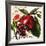 Tuscan Sun Pomegranate-Jennifer Garant-Framed Giclee Print