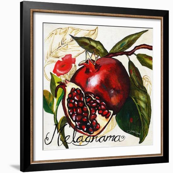 Tuscan Sun Pomegranate-Jennifer Garant-Framed Giclee Print