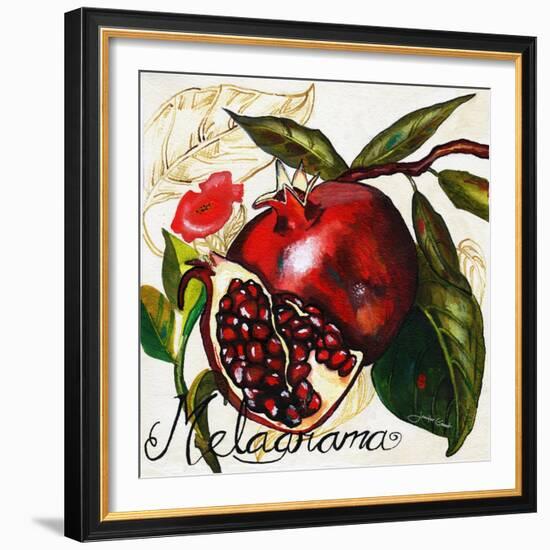 Tuscan Sun Pomegranate-Jennifer Garant-Framed Giclee Print