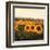 Tuscan Sunflowers-Amy Melious-Framed Art Print