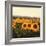 Tuscan Sunflowers-Amy Melious-Framed Art Print