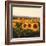 Tuscan Sunflowers-Amy Melious-Framed Art Print