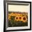 Tuscan Sunflowers-Amy Melious-Framed Art Print