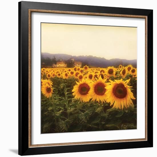 Tuscan Sunflowers-Amy Melious-Framed Art Print