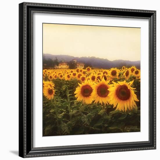 Tuscan Sunflowers-Amy Melious-Framed Art Print