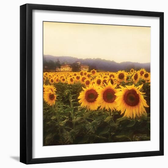 Tuscan Sunflowers-Amy Melious-Framed Art Print