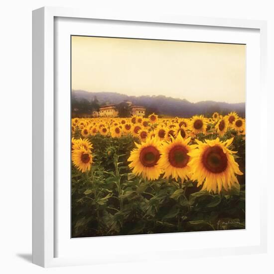 Tuscan Sunflowers-Amy Melious-Framed Art Print