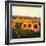 Tuscan Sunflowers-Amy Melious-Framed Art Print