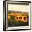 Tuscan Sunflowers-Amy Melious-Framed Art Print