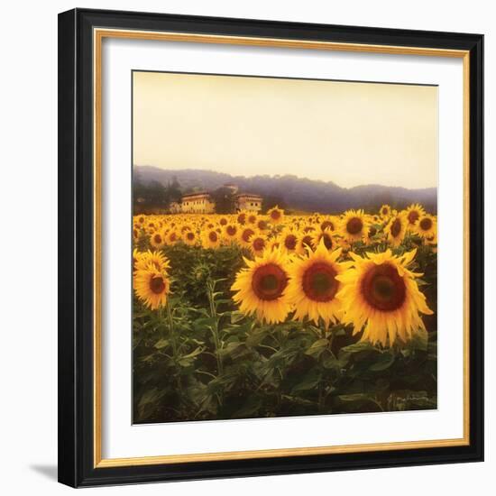 Tuscan Sunflowers-Amy Melious-Framed Art Print