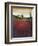 Tuscan Sunrise-Jennifer Garant-Framed Giclee Print
