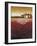 Tuscan Sunset-Jennifer Garant-Framed Giclee Print