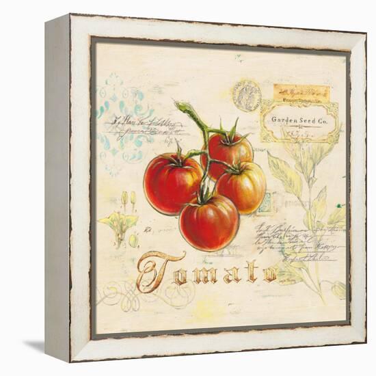 Tuscan Tomato-Angela Staehling-Framed Stretched Canvas