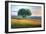 Tuscan Tree Pink Sunset-Robert Goldwitz-Framed Photographic Print