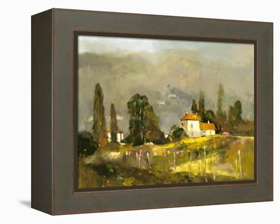 Tuscan Valley-Ted Goerschner-Framed Premier Image Canvas
