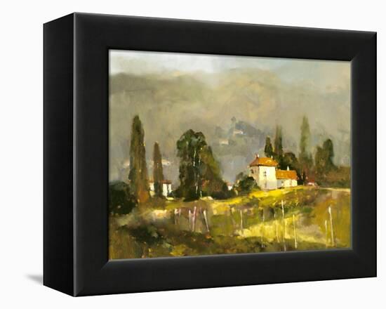 Tuscan Valley-Ted Goerschner-Framed Premier Image Canvas