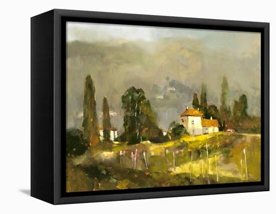 Tuscan Valley-Ted Goerschner-Framed Premier Image Canvas