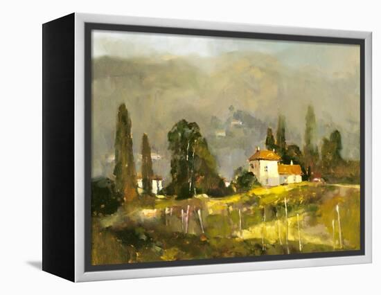 Tuscan Valley-Ted Goerschner-Framed Premier Image Canvas