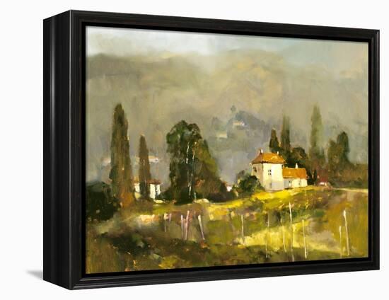 Tuscan Valley-Ted Goerschner-Framed Premier Image Canvas