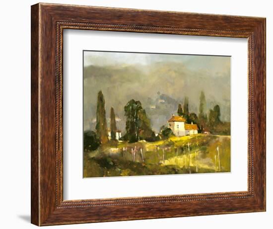 Tuscan Valley-Ted Goerschner-Framed Giclee Print