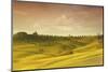 Tuscan Valley-Marco Carmassi-Mounted Photographic Print