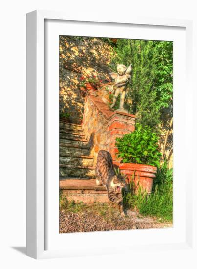 Tuscan Vertical Cat on Stairs-Robert Goldwitz-Framed Photographic Print