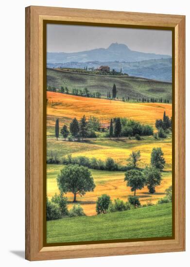 Tuscan Vertical Switchbacks-Robert Goldwitz-Framed Premier Image Canvas