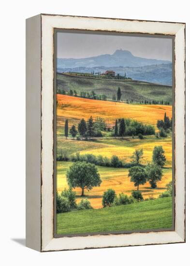 Tuscan Vertical Switchbacks-Robert Goldwitz-Framed Premier Image Canvas