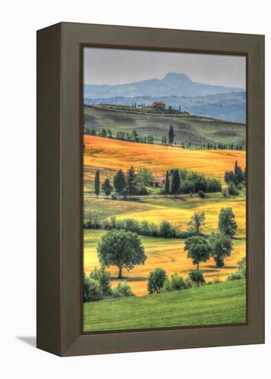 Tuscan Vertical Switchbacks-Robert Goldwitz-Framed Premier Image Canvas