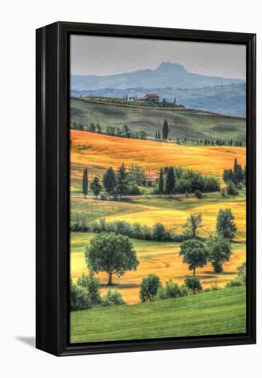 Tuscan Vertical Switchbacks-Robert Goldwitz-Framed Premier Image Canvas