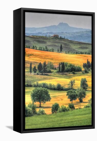 Tuscan Vertical Switchbacks-Robert Goldwitz-Framed Premier Image Canvas