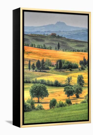 Tuscan Vertical Switchbacks-Robert Goldwitz-Framed Premier Image Canvas