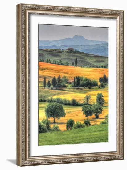 Tuscan Vertical Switchbacks-Robert Goldwitz-Framed Photographic Print