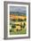 Tuscan Vertical Switchbacks-Robert Goldwitz-Framed Photographic Print