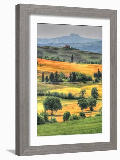 Tuscan Vertical Switchbacks-Robert Goldwitz-Framed Photographic Print