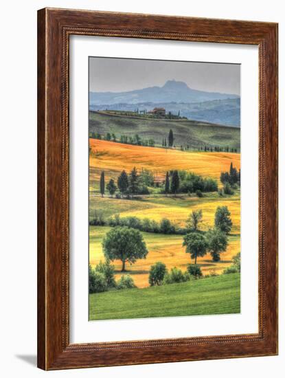 Tuscan Vertical Switchbacks-Robert Goldwitz-Framed Photographic Print