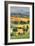 Tuscan Vertical Switchbacks-Robert Goldwitz-Framed Photographic Print