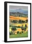 Tuscan Vertical Switchbacks-Robert Goldwitz-Framed Photographic Print