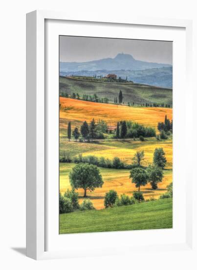 Tuscan Vertical Switchbacks-Robert Goldwitz-Framed Photographic Print