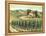 Tuscan Villa and Vineyard-Marilyn Dunlap-Framed Stretched Canvas