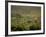 Tuscan Villa View, Radda in Chianti, II Chianti, Tuscany, Italy-Walter Bibikow-Framed Photographic Print