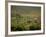 Tuscan Villa View, Radda in Chianti, II Chianti, Tuscany, Italy-Walter Bibikow-Framed Photographic Print