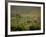 Tuscan Villa View, Radda in Chianti, II Chianti, Tuscany, Italy-Walter Bibikow-Framed Photographic Print