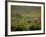 Tuscan Villa View, Radda in Chianti, II Chianti, Tuscany, Italy-Walter Bibikow-Framed Photographic Print