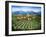 Tuscan Vineyard and Abbey-Marilyn Dunlap-Framed Art Print