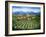 Tuscan Vineyard and Abbey-Marilyn Dunlap-Framed Art Print