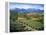 Tuscan Vineyard and Village-Marilyn Dunlap-Framed Stretched Canvas