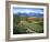 Tuscan Vineyard and Village-Marilyn Dunlap-Framed Art Print