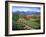 Tuscan Vineyard and Village-Marilyn Dunlap-Framed Art Print